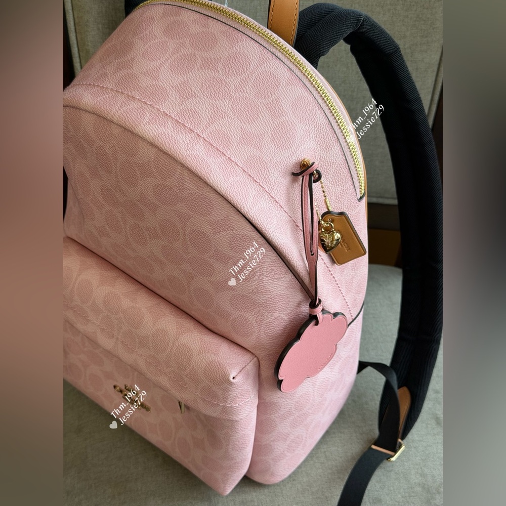 NWT！COACH Taylor Small Backpack In Signature With Charms（CEF46）fast shipping - Picture 4 of 13